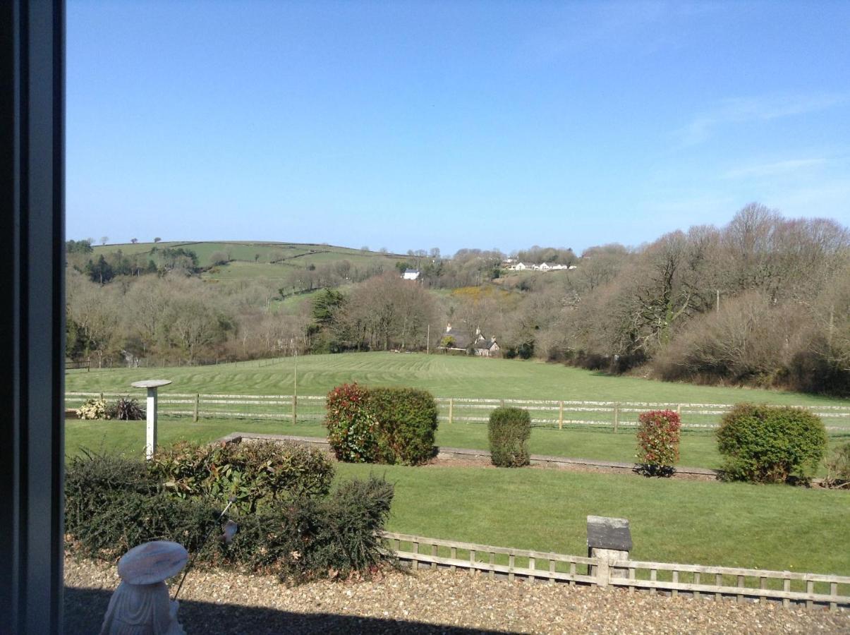 3 Bed Cottage With Hot Tub & Near New Quay Wales Llandysul Luaran gambar